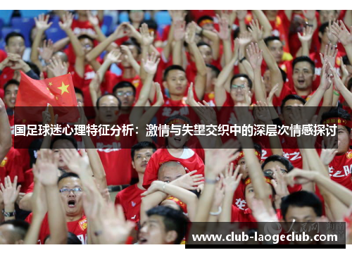 国足球迷心理特征分析：激情与失望交织中的深层次情感探讨