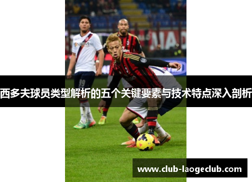 西多夫球员类型解析的五个关键要素与技术特点深入剖析