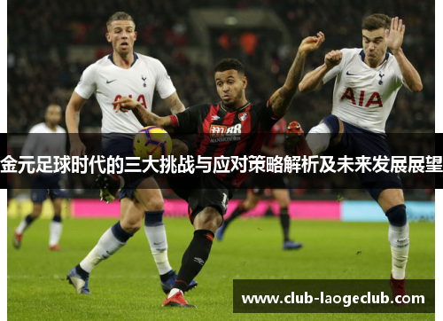 金元足球时代的三大挑战与应对策略解析及未来发展展望