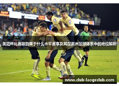 美冠杯比赛级别属于什么水平赛事及其在美洲足球体系中的地位解析