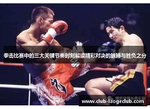 拳击比赛中的三大关键节奏时刻解读精彩对决的脉搏与胜负之分
